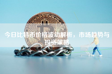 今日比特币价格波动解析，市场趋势与投资策略