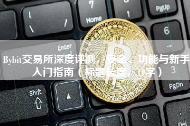 Bybit交易所深度评测，安全、功能与新手入门指南（标题长度，19字）