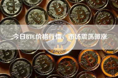 今日BTC价格行情，市场震荡微涨