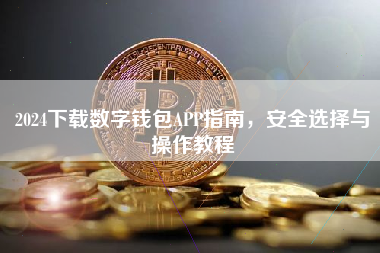 2024下载数字钱包APP指南，安全选择与操作教程