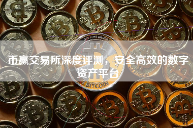 币赢交易所深度评测，安全高效的数字资产平台