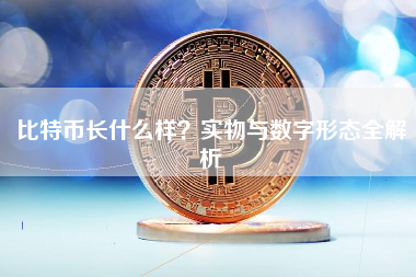 比特币长什么样?实物与数字形态全解析 比特币长什么样?实物与数字形态全解析
