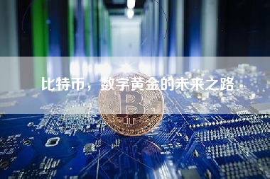 比特币，数字黄金的未来之路