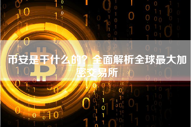 币安是干什么的?全面解析全球最大加密交易所 币安是干什么的?全面解析全球最大加密交易所