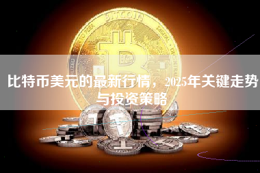 比特币美元的最新行情，2025年关键走势与投资策略
