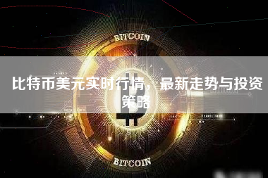 比特币美元实时行情，最新走势与投资策略