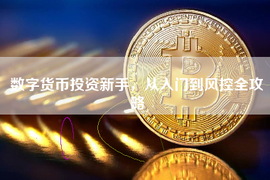 数字货币投资新手，从入门到风控全攻略