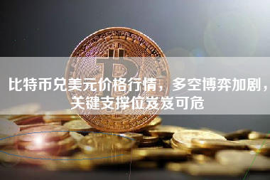 比特币兑美元价格行情,多空博弈加剧,关键支撑位岌岌可危