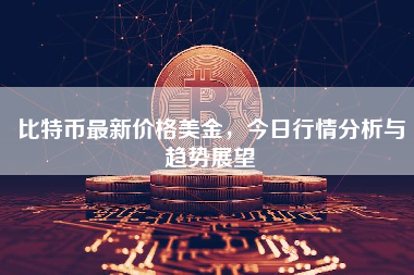 比特币最新价格美金，今日行情分析与趋势展望