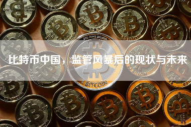 比特币中国，监管风暴后的现状与未来