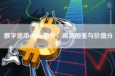 数字货币100元图片，高清图鉴与价值分析