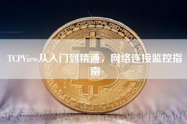 TCPView从入门到精通，网络连接监控指南