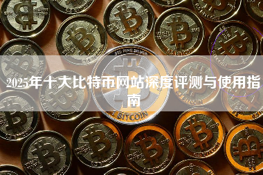 2025年十大比特币网站深度评测与使用指南