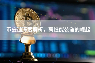 币安链深度解析，高性能公链的崛起