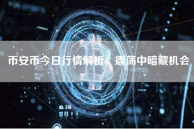 币安币今日行情解析，震荡中暗藏机会