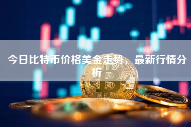 今日比特币价格美金走势，最新行情分析