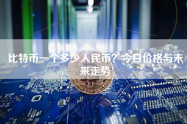 比特币一个多少人民币？今日价格与未来走势