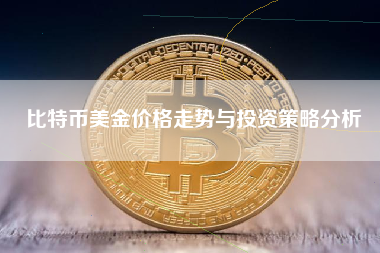 比特币美金价格走势与投资策略分析