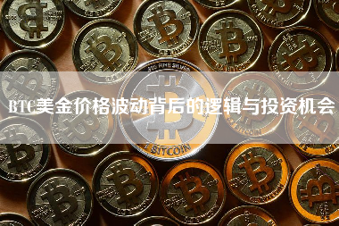 BTC美金价格波动背后的逻辑与投资机会
