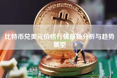 比特币兑美元价格行情最新分析与趋势展望