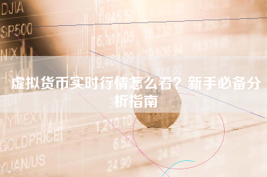 虚拟货币实时行情怎么看？新手必备分析指南