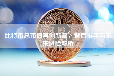 比特币总市值再创新高，背后推手与未来风险解析