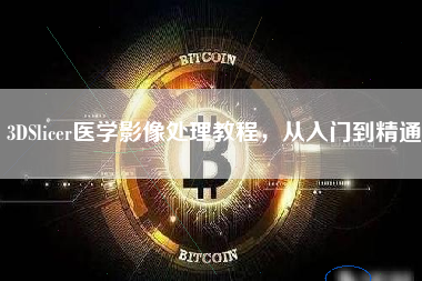 3DSlicer医学影像处理教程，从入门到精通