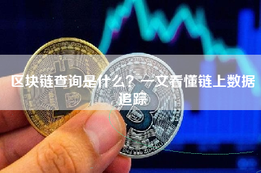 区块链查询是什么？一文看懂链上数据追踪