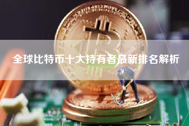 全球比特币十大持有者最新排名解析