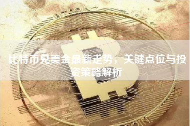 比特币兑美金最新走势，关键点位与投资策略解析