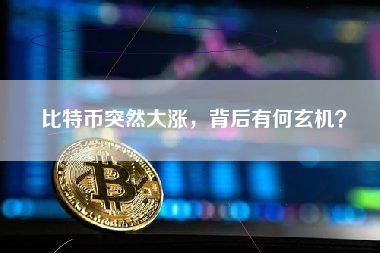 比特币突然大涨，背后有何玄机？