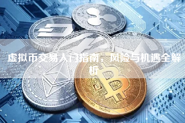 虚拟币交易入门指南，风险与机遇全解析