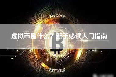 虚拟币是什么？新手必读入门指南
