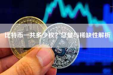 比特币一共多少枚？总量与稀缺性解析