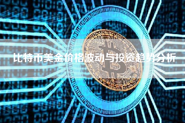 比特币美金价格波动与投资趋势分析