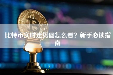 比特币实时走势图怎么看？新手必读指南
