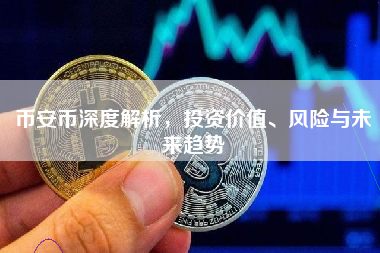 币安币深度解析，投资价值、风险与未来趋势