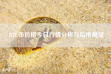 BTC币价格今日行情分析与后市展望