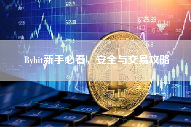 Bybit新手必看，安全与交易攻略