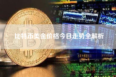 比特币美金价格今日走势全解析
