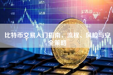 比特币交易入门指南，流程、风险与安全策略