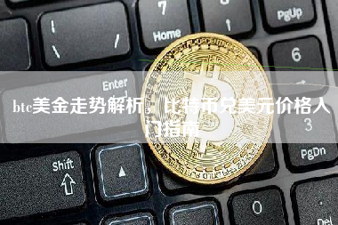 btc美金走势解析，比特币兑美元价格入门指南