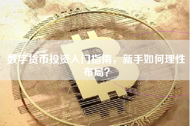 数字货币投资入门指南，新手如何理性布局？