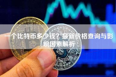 一个比特币多少钱？最新价格查询与影响因素解析