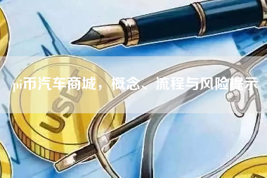 pi币汽车商城，概念、流程与风险提示