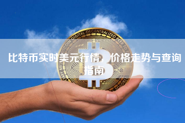 比特币实时美元行情，价格走势与查询指南