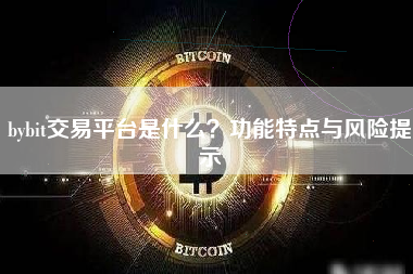 bybit交易平台是什么？功能特点与风险提示