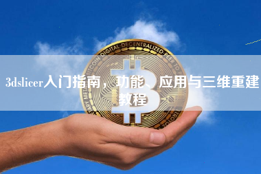 3dslicer入门指南，功能、应用与三维重建教程