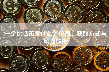 一个比特币是什么？价值、获取方式与风险解析