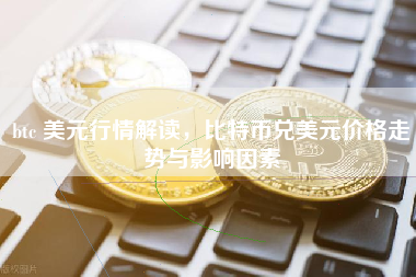 btc 美元行情解读，比特币兑美元价格走势与影响因素